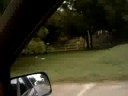 De camino a la uni 2