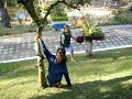 LU E CRIS