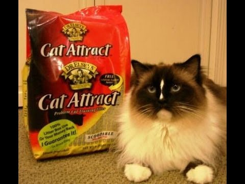 Dr. Elseys Cat Attract Cat Litter Floppycats.com Review 0 Dr. Elseys Cat Attract Cat Litter Floppycats.com Review