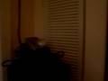 videos de Rentz House, Inside