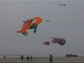 Washington Kite Festival 2006 Washington Kite Festival 2006