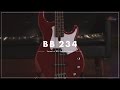 миниатюра 0 Видео о товаре Бас гитара YAMAHA BB234 YLNS
