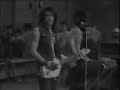 Fuzztones - Rari (live)