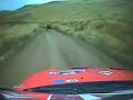 Rally Car hits a cow Rally Car hits a cow