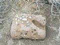 Anasazi