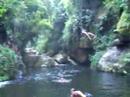 Tarzan