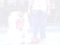 اجمل لقطة انسانية فى ارقى رياضة بشرية
