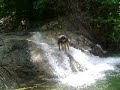 Naga meditate sa tubigan