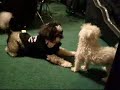 Fast Eddie Love