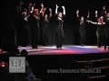 Flamenco-Studio Lela, Schüleraufführungen während der Fiesta in Schorndorf, (Stuttgart) zeigen eine Farruca mit zwei Kursen. Wegen der vielen TänzerInnen auf der Bühne tanzen die beiden Gruppen gegenüber, so entstehen neue interessante choreografische Effekte. http://www.flamenco-studio.de