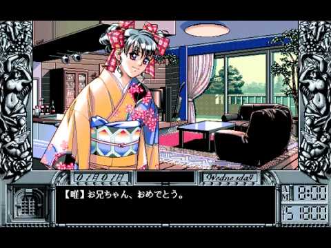 動画