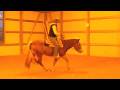 videos de Youth Horse, Reg Haflinger Gelding For Sale, Wiconsin