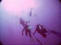 Scuba Diving the Corsair, Koko Craters; Oahu, Hawaii
