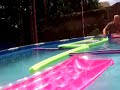Frog goes Swimming.
