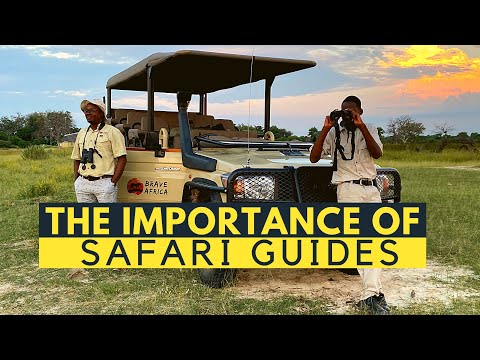 The Importance of Safari Guiding
