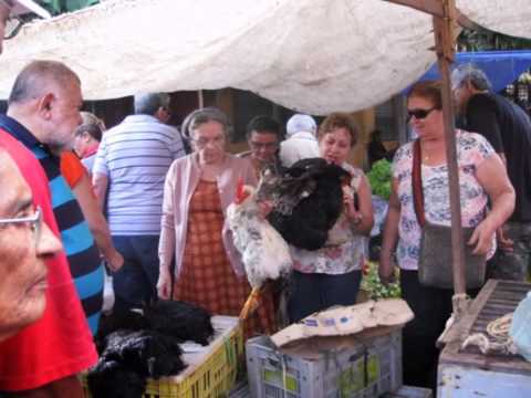 Feira de Paulo Afonso..Bahia -julho 13 - a banda passou