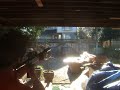 RAP4 Tactical Shotgun