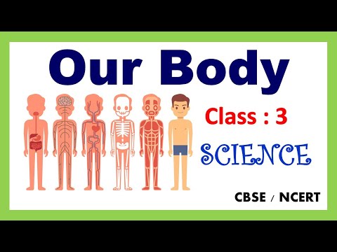 parts of our body class 3