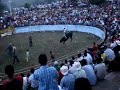 jaripeo jaripeo