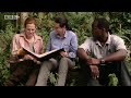 Sigourney Weaver reminisces with some familiar gorilla faces - BBC wildlife
