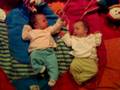 videos de Sophie en Elien in de box - 1