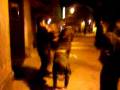 videos de Una noche de fiesta....