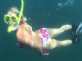 Holly Beck swims with a 20ft Whale Shark