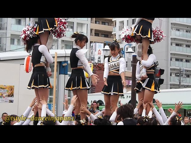 【大学生 チア】女子大生チア 高度な技披露【美女】japanese cheerleader