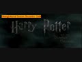 Harry Potter Deathly Hallows Title Screen