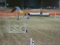 videos de 9-10 August NADAC Trial 2
