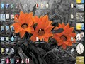 [How To] Jailbreak iPod Touch 1G / 2G / 3G & iPhone 1G / 3G & 3GS on 3.1.2 - BlackRa1n - Windows