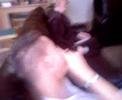 dennistoun.html