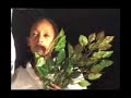 Eskesta Dance Theatre, Haifa, Israel; Dir.: Dr. Ruth Eshel Eskesta Dance Theatre, Haifa, Israel; Dir.: Dr. Ruth Eshel