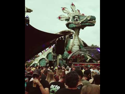 DJ Wout at Tomorrowland 2025 DJ Wout at Tomorrowland 2025