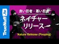 Good-Ninja-Bad-Ninja