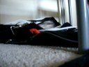 Fofa in bag Fofa in bag