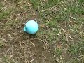 VCLP0156.MP4