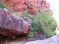 Click here to watch this video Grand Canyon Ribbon Falls