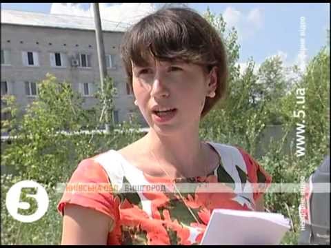 ГАИ журналистам: «Я сейчас вам камеру засуну в сраку»