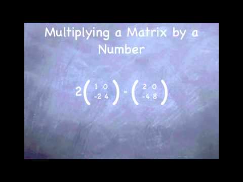Matrices