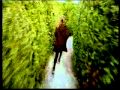 Fame at Greenan Maze.mp4