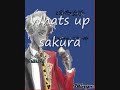 Naruto Chit Chat