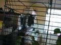 videos de Harry en Truus 03.wmv