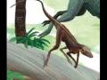 videos de Tribute to Marasuchus A.K.A. Lagosuchus.