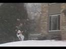First Snow Part 2