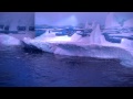Gentoo penguins are looking for love at SEA LIFE London Aquarium