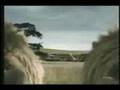 Super Bowl XLII Commercial Collection