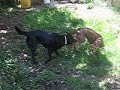 Izzy and Anya #2