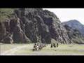 Mongolia Horse Riding Holidays & Equestrian ...