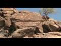 Sonoran Desert Petroglyphs